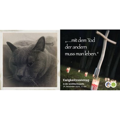 Collage: Kater, Plakat